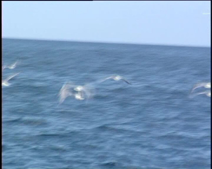 Under German Roofs: Німецькі повії люблять засувати великий член у свою пизду No12