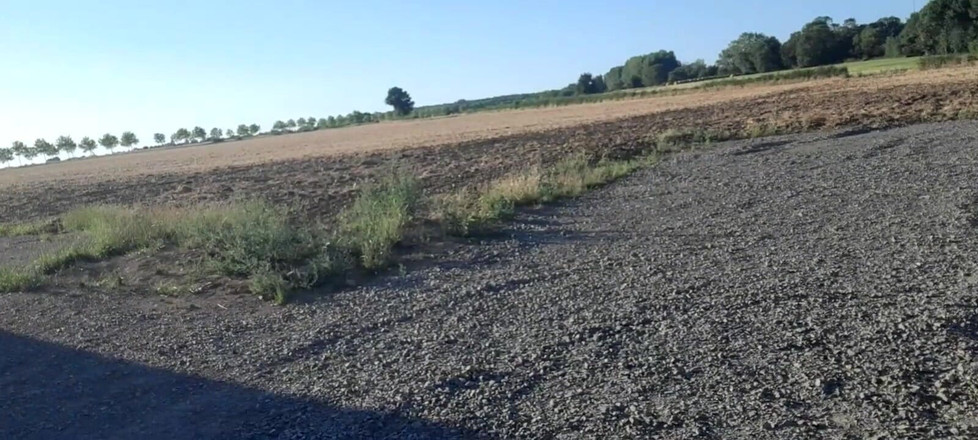 Baby Love: 吃我的精液。