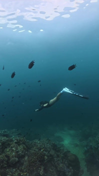 Just Dating the Ocean Will Be Back to Be Your Cum Slut Again Tomorrow