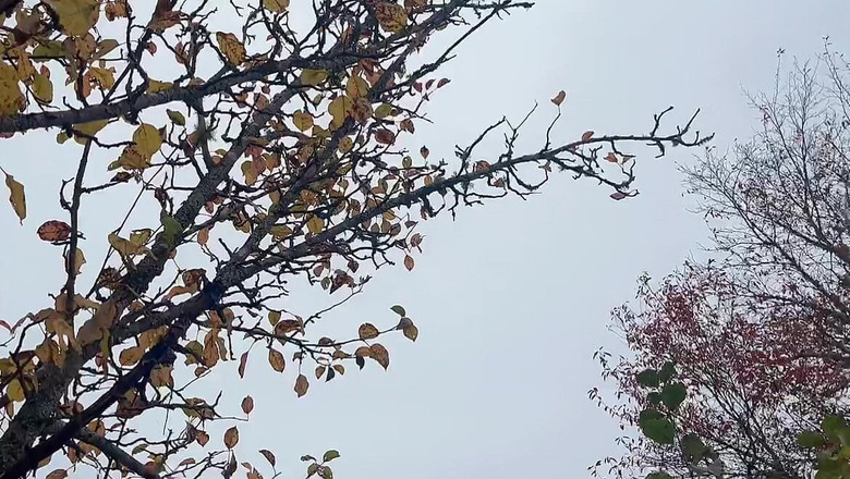 sweethanajapanese: Arkadan Ne Kadar Harika Işiyor