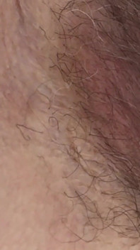 The Cougar Crawl Across the Bed -- and My Hairy Pussy