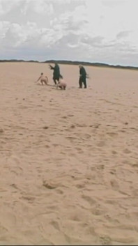 Dikke kont en billenkoek, op het strand deel 2