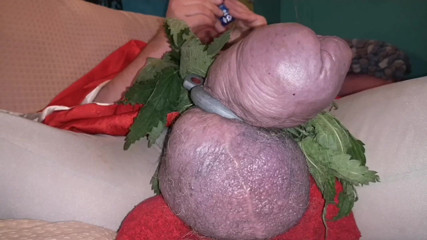 Monster_Meat_: Nettles drive me nuts and make my cock hard!
