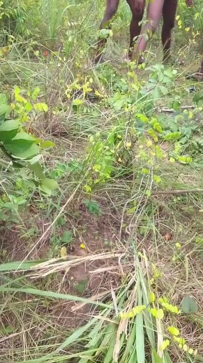 Porchey: Threesome Dealing in the Bush