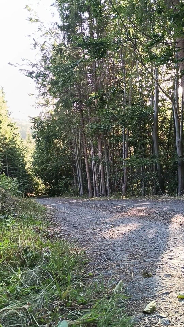 kickerscooter: स्कूटर सवार आउटडोर हस्तमैथुन