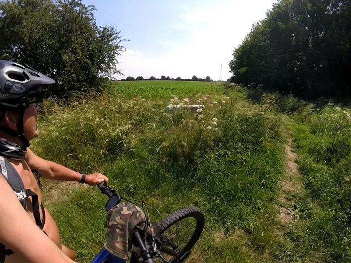 Andy: 步行 41 2025