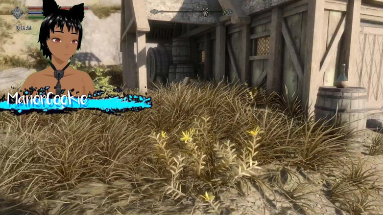 Manor Cookie: 야외에서 농장에서 섹스하는 Skyrim B와 L 섹스 모드
