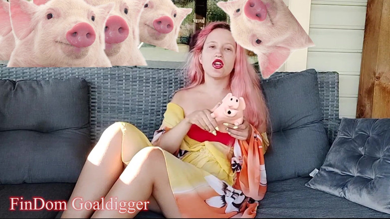 FinDom Goaldigger: Revisione del modulo di domanda per schiavo cash