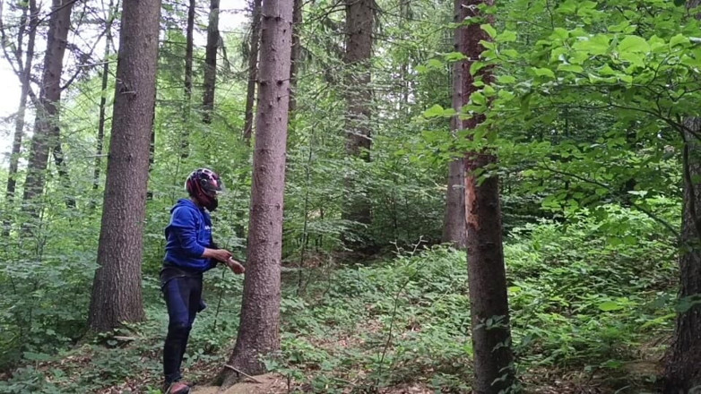 kickerscooter: Rischio forestale: masturbarsi sotto una strada trafficata