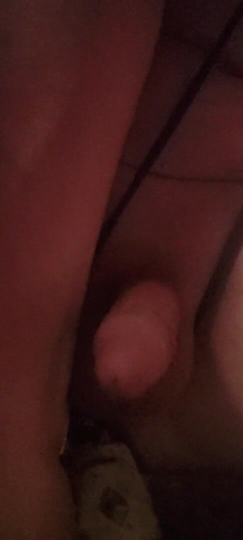 Whoerhouse: 20220202_211003.