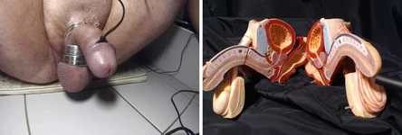 Sexuální sexuální 221216