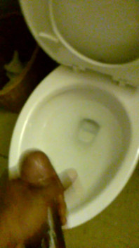 Cam Video