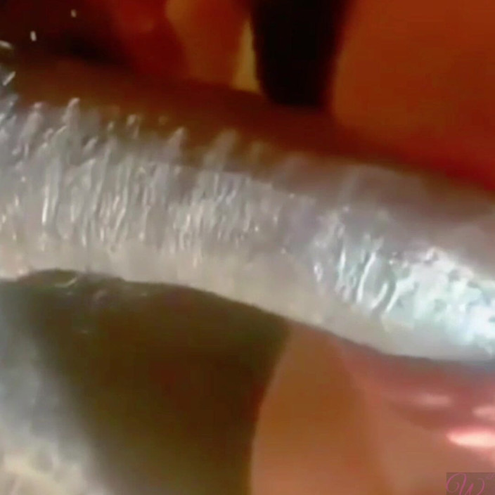 Whos nxt production: Trans Latina Didominasi Sama Kontol Besar