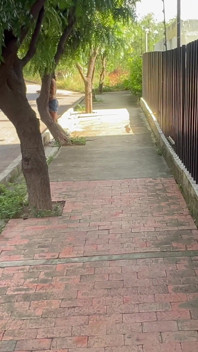 Seks kasual dengan orang yang tidak dikenali, saya menjemput seorang Latina muda ke apartmen saya untuk bercinta dengannya