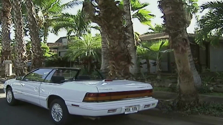 Vintage Climax: สาวผมน้ำตาลเย้ายวนชอบโดนหนุ่มเงี่ยนเย็ด