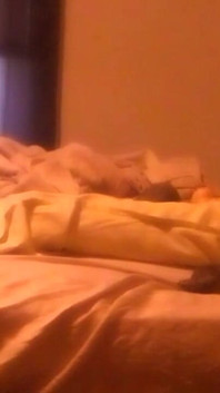 VID_20250301_165148.3gp