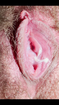 Extremely Close-up of a Hairy, Creamy Pussy