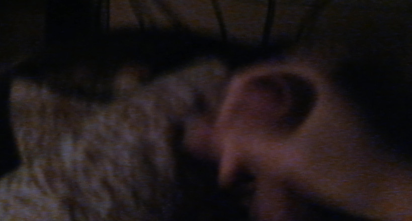 Horny Boy 18 year: Підліткові Сквіртси