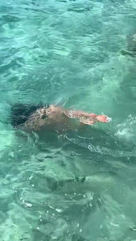 Monika Fox menghentikan bas persimpangan untuk berenang berbogel di Laut Caribbean!