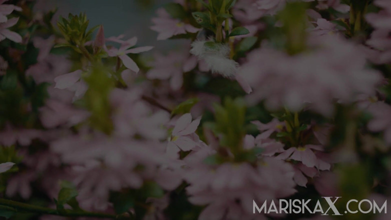 Mariska x: Mariskax - latina Mariska tem sua bunda esticada por um bbc