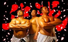 Decydująca bitwa / część 2