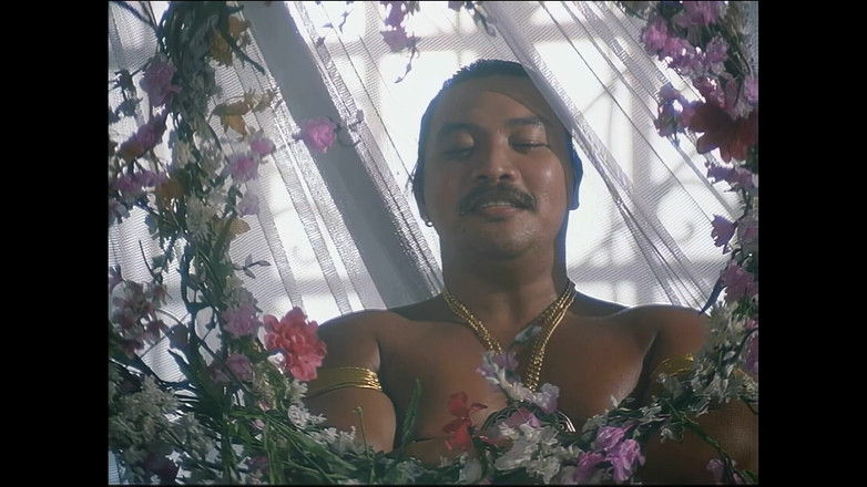 MMV Films: アラジンとワンダーテール