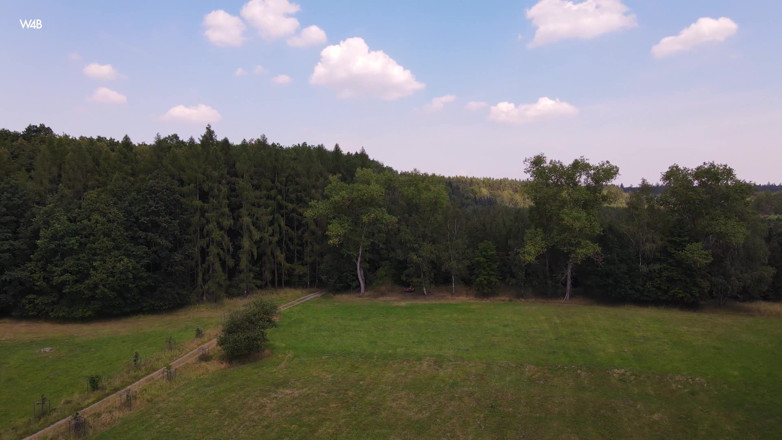 Watch4beauty: Storia della foresta con Agatha vega