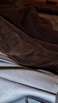 fucking My Shorts and Staining Them with Precum, for All of You Bulge Lovers