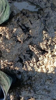 Mud Fun in Rubber Camo Wellies