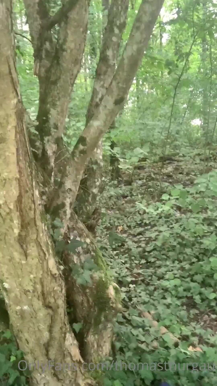 Thomasthurgau: Sekali lagi di hutan