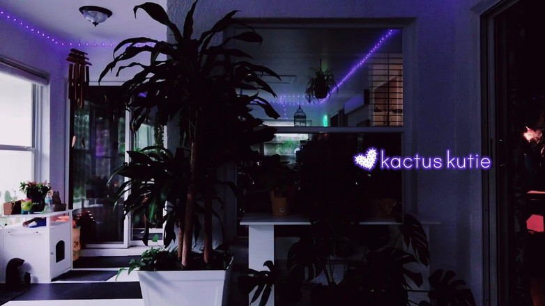 kactus kutie: 在外面天黑的时候尝试kute klothes