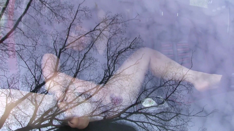 Popp Sylvie: Outdoor dildo action in my car