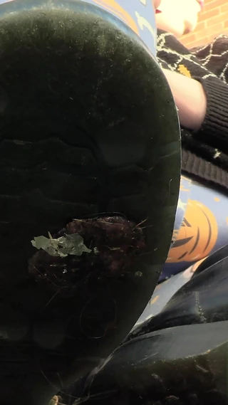 Mxtress Valleycat: Tiny Boot Follower