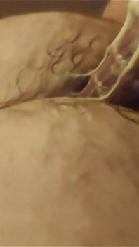 Hairy Bear Fuck Machine