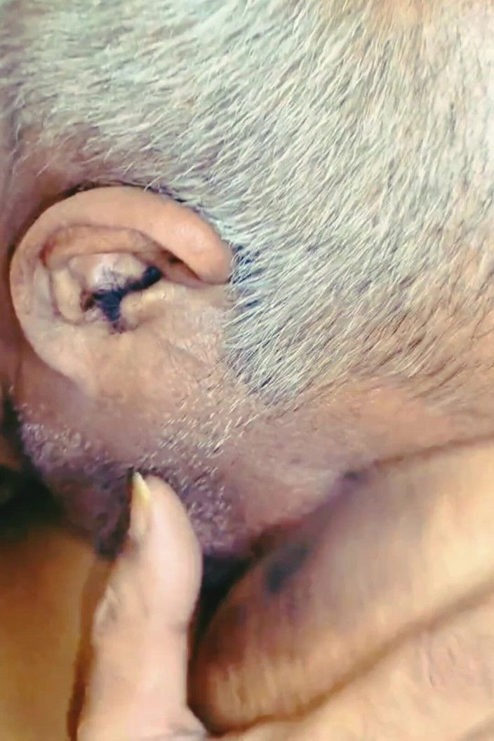 HOTKAMASUTRA: Jamal Fucked Tejaswini and Sucked Her Cock.