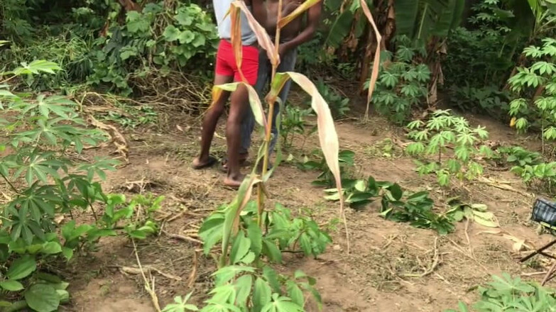 Sexydaddy: Çiftçiler çiftlikte seks yapıyor ve birbirlerine sakso çekiyor