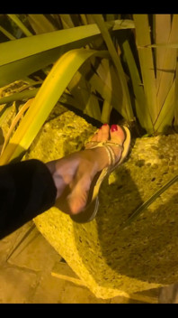 My Feet