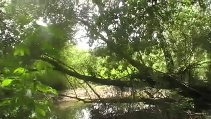 Jess Royan XXX: Fucked in exhibit near a river by straight curious boy
