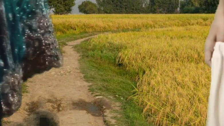 Zoya Khan: 巴基斯坦夫妇在乡村田野的户外性爱 第1集4