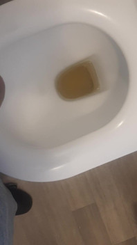Pissing in Womens Toilet