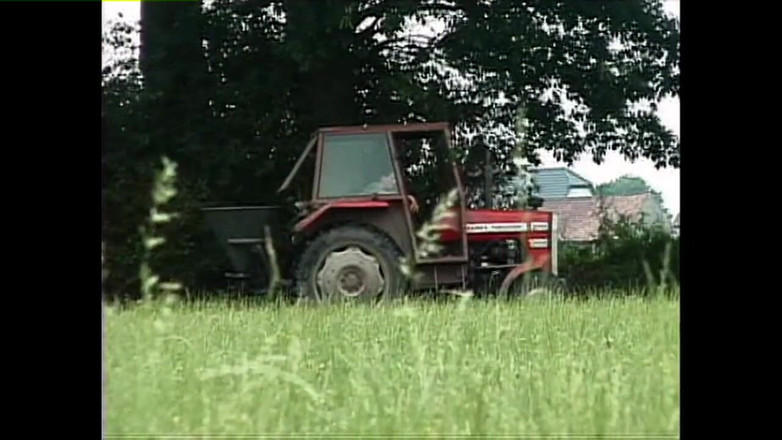 Heatwave Porn: Ze zadku do pusy, část 8