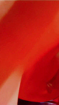 Sexy Video