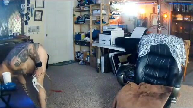 City hog: The Hogg