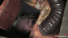 The Training of O by Kink: L'allenamento di Lorelei Lee, giorno 2