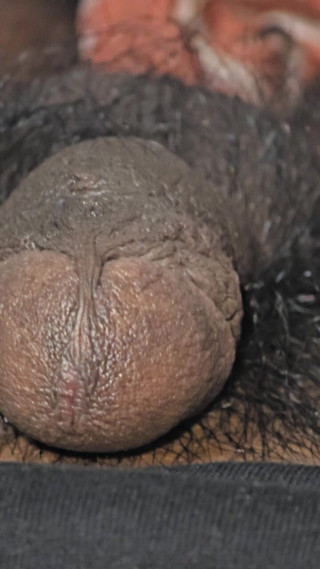 Bd boy studio: Wow, das sind wir.