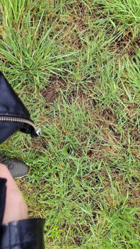 Outdoor Piss in the Rain