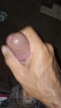 Debutul lui Cock Come In The Backyard