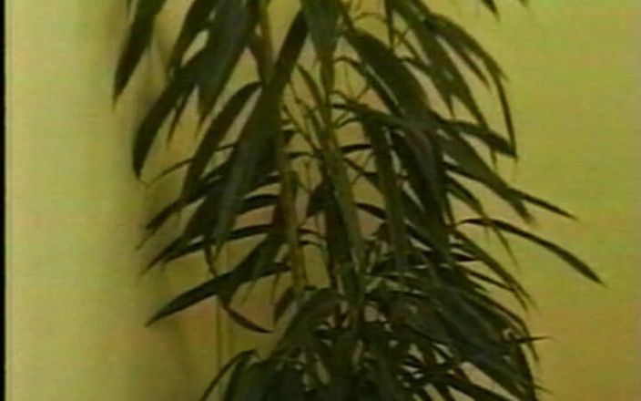 Gay RetroX VHS: エクスタシーの官能的な男性#1