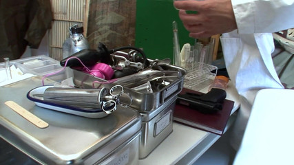 DOMINATRIX6: Eğitim kampı.