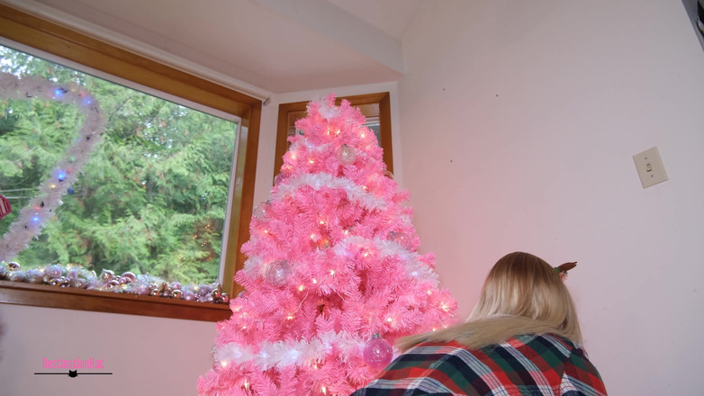 Destination Kat: Není doma na Vánoce